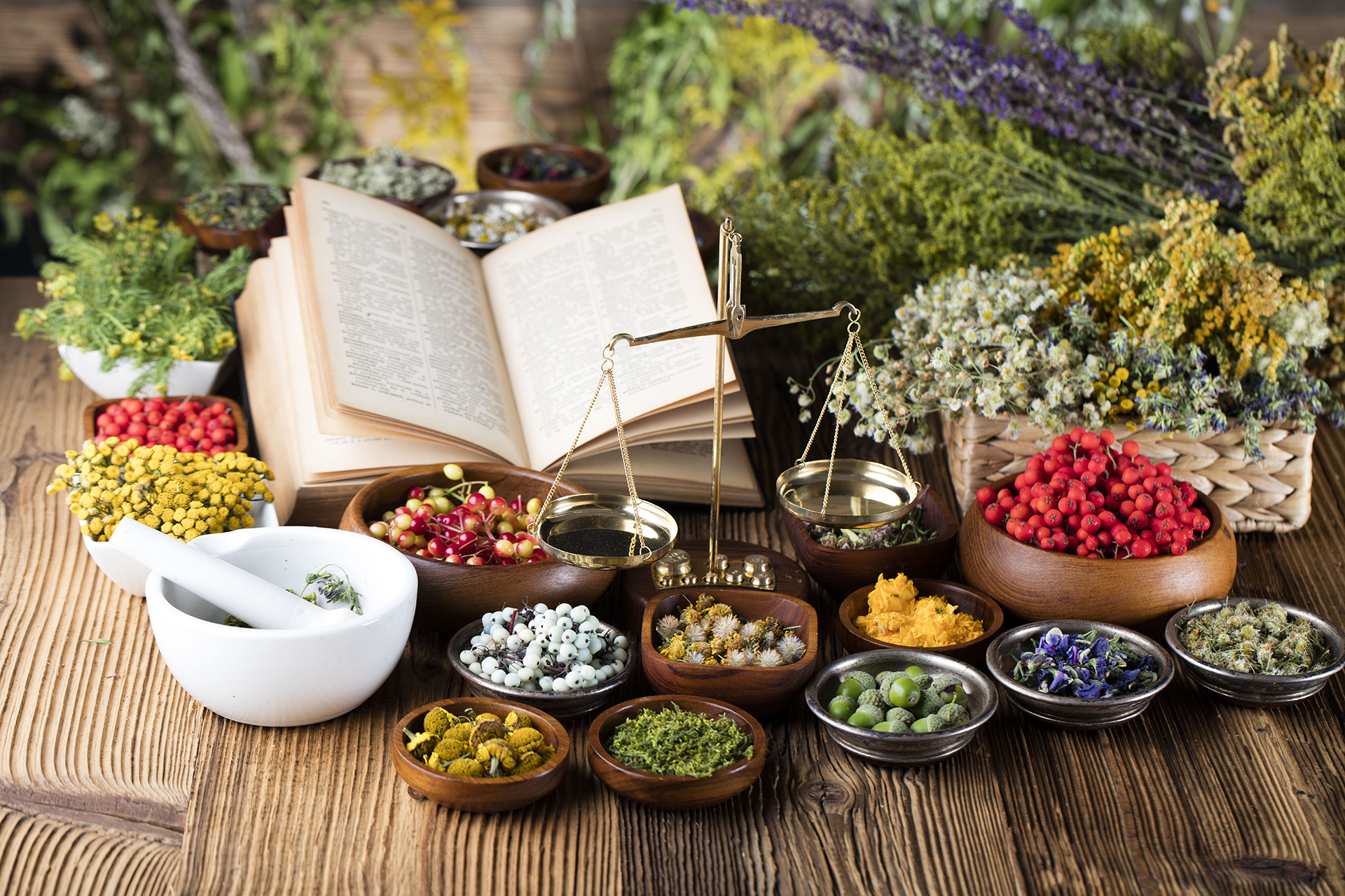 Open book, herbs, berries and flowers with mortar, on wooden table background